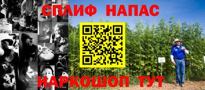 ECSTASY Владимир