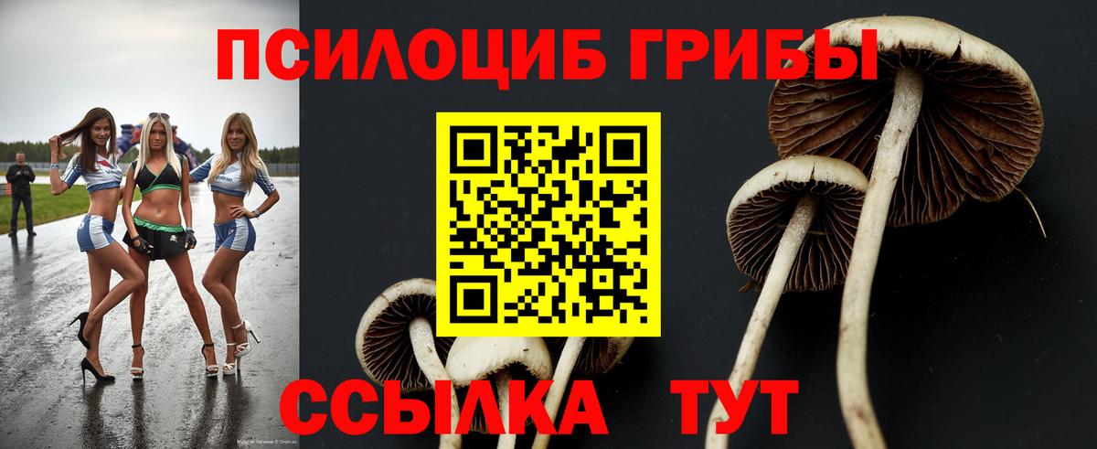 Галлюциногенные грибы прущие грибы  Вход с VPN  Верхняя Пышма 
