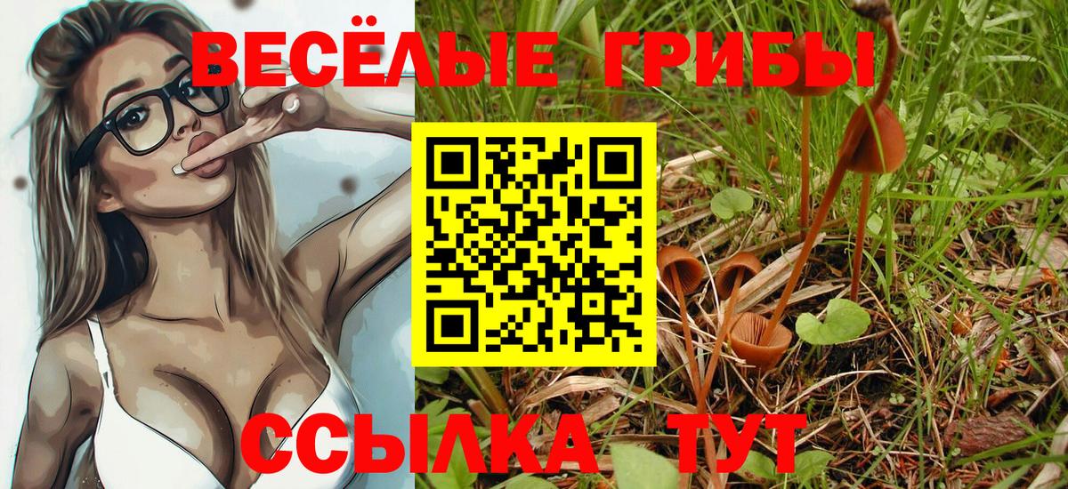 Псилоцибиновые грибы мухоморы Верхняя Пышма