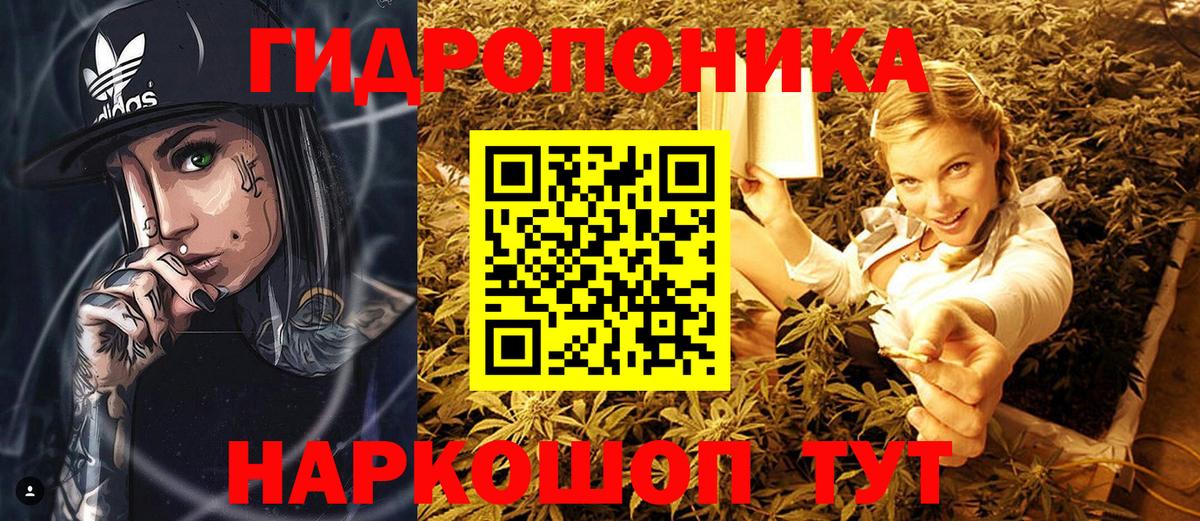 Канабис план  Вход с VPN  Верхняя Пышма  Каннабис ГИДРОПОН  Шишки марихуана SATIVA & INDICA 